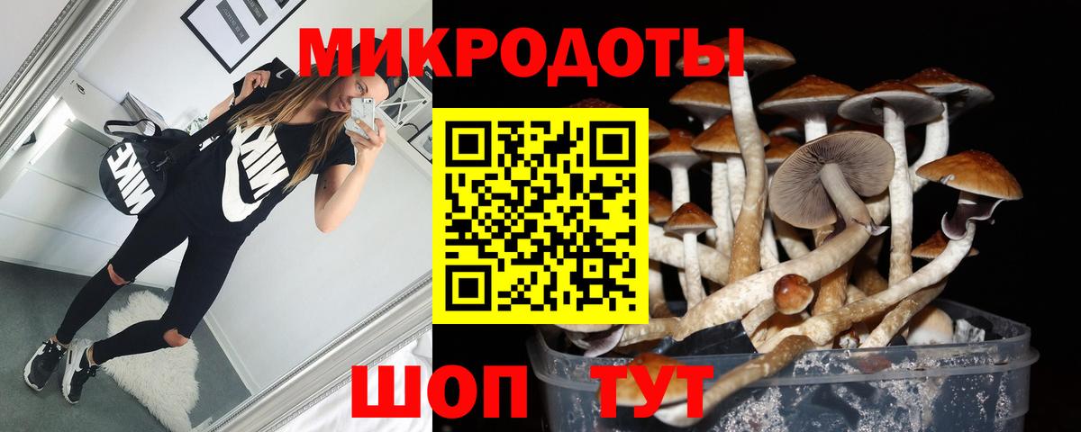 Галлюциногенные грибы Psilocybe Дзержинск