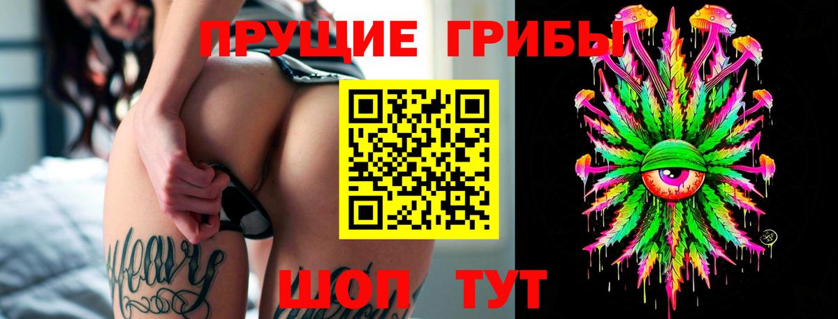 Псилоцибиновые грибы Cubensis  Вход с VPN  Псилоцибиновые грибы прущие грибы  Дзержинск 